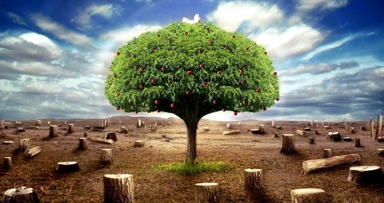 10 Cifras Deprimentes Sobre El Futuro Del Medio Ambiente