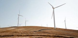 energia renovable verde emprendimiento social ambiental