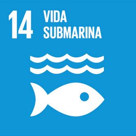 Agenda 2030 - Objetivo 14: Vida submarina. Agenda 2030 y ODS - Objetivo 14: Vida submarina.