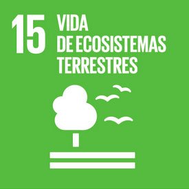 Agenda 2030 y ODS - Objetivo 15: Vida de ecosistemas terrestres. Agenda 2030 y ODS - Objetivo 15: Vida de ecosistemas terrestres.